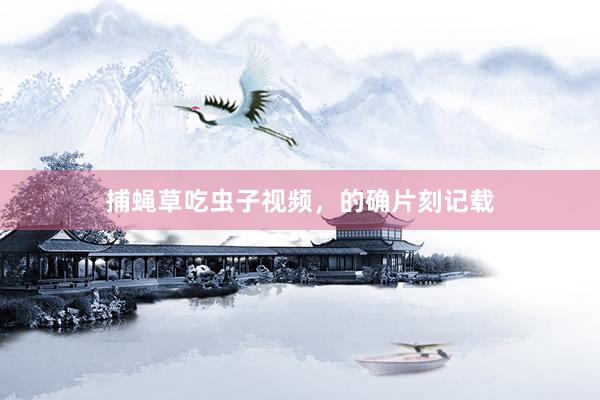 捕蝇草吃虫子视频，的确片刻记载